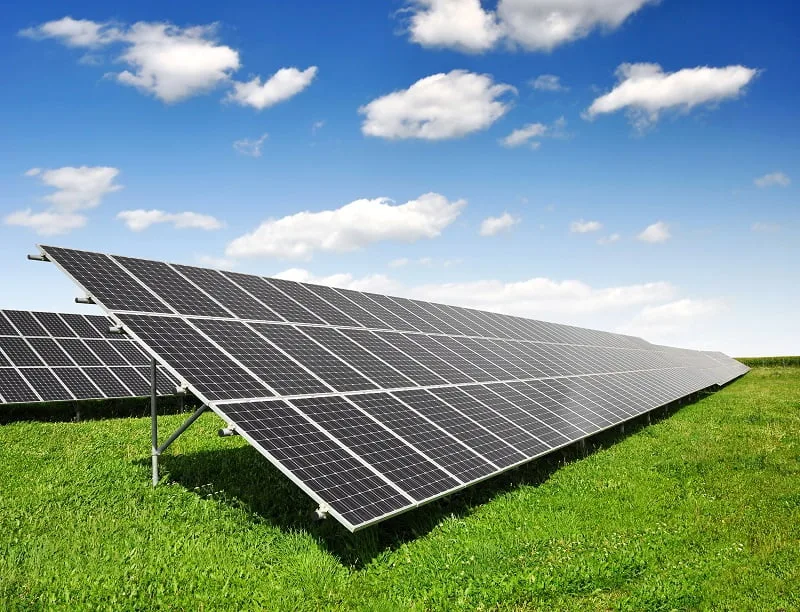 EY îşi propune o amprentă de carbon negativă în 2021 şi atingerea nivelului ‘net zero’ în 2025