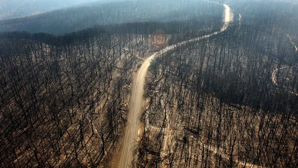 Habitatul speciilor ameninţate cu dispariţia