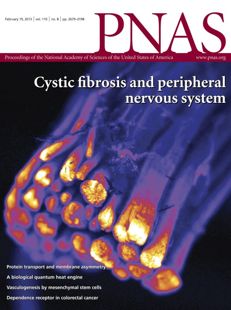 8.cover-source