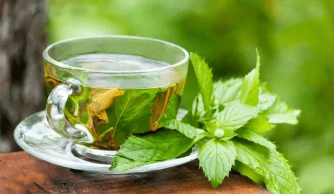 Top 5 utilizări ale uleiului de arbore de ceai