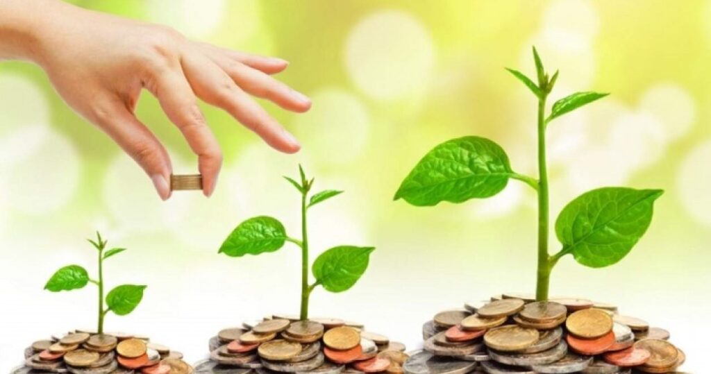 Educatie-financiara
