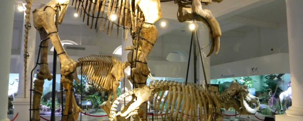 Muzeul-National-de-Istorie-Naturala-Grigore-Antipa-1200x480
