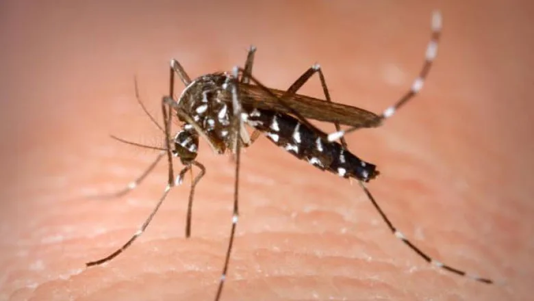 O persoană infectată cu West Nile a decedat