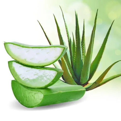 Aloe vera comestibilă vs. necomestibilă. Cum îți dai seama care este cea de care ai nevoie