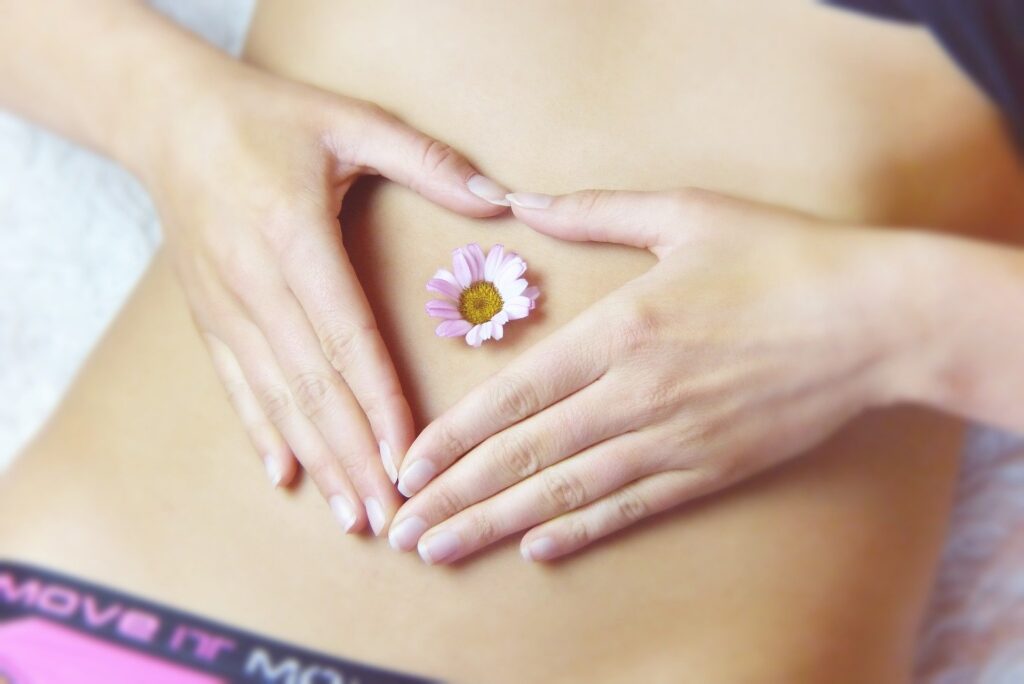 belly-3186730_1920-1