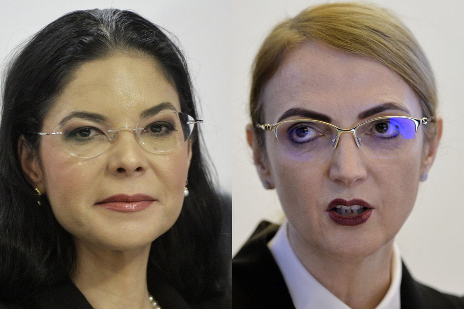 Savonea,adresă către CCR: Birchall nu mai este ministru, e inoportună soluționarea conflictului