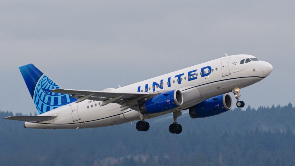 Cross-Border Airline Traffic During COVID-19 November 2020