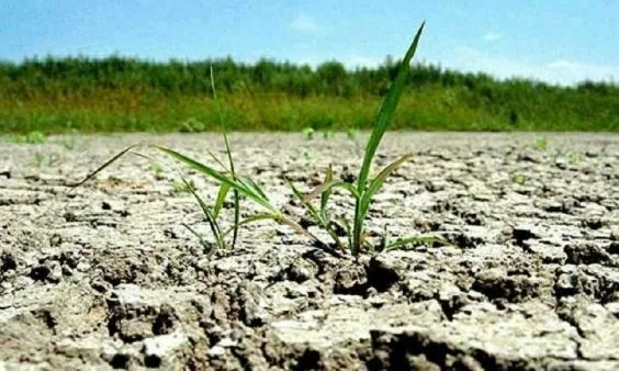 România este grav afectata de procesul de deşertificare