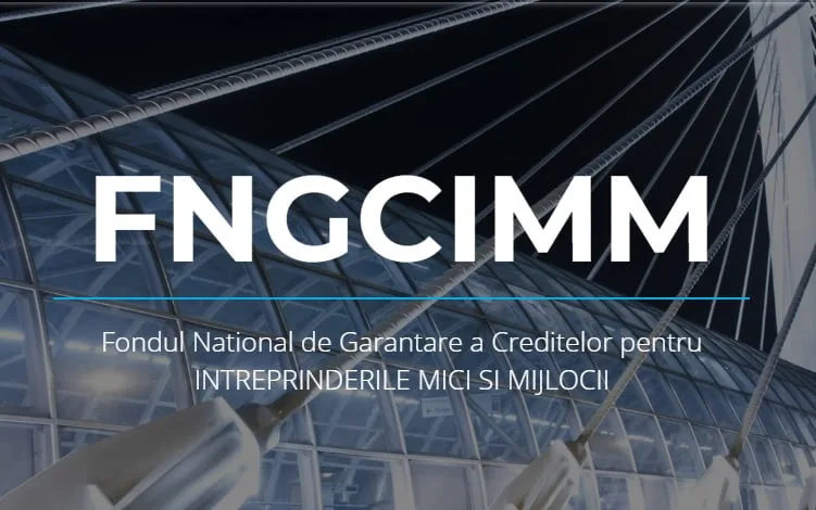 Fondul de garantare a acordat garanţii de 14 miliarde de lei în 2020
