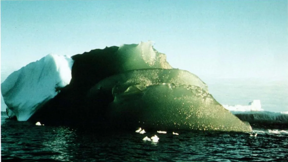 Zăpada din Antarctica capătă nuanţe verzi