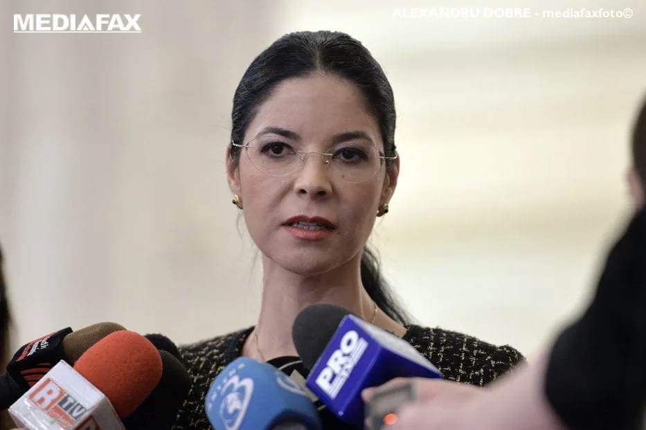PARLAMENT - DECLARATIE PRESA - ANA BIRCHALL