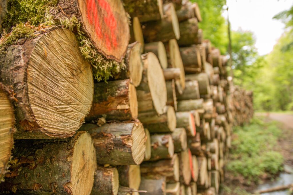 holzstapel-766737_1920