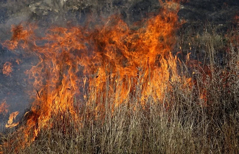 incendiu-vegetatie