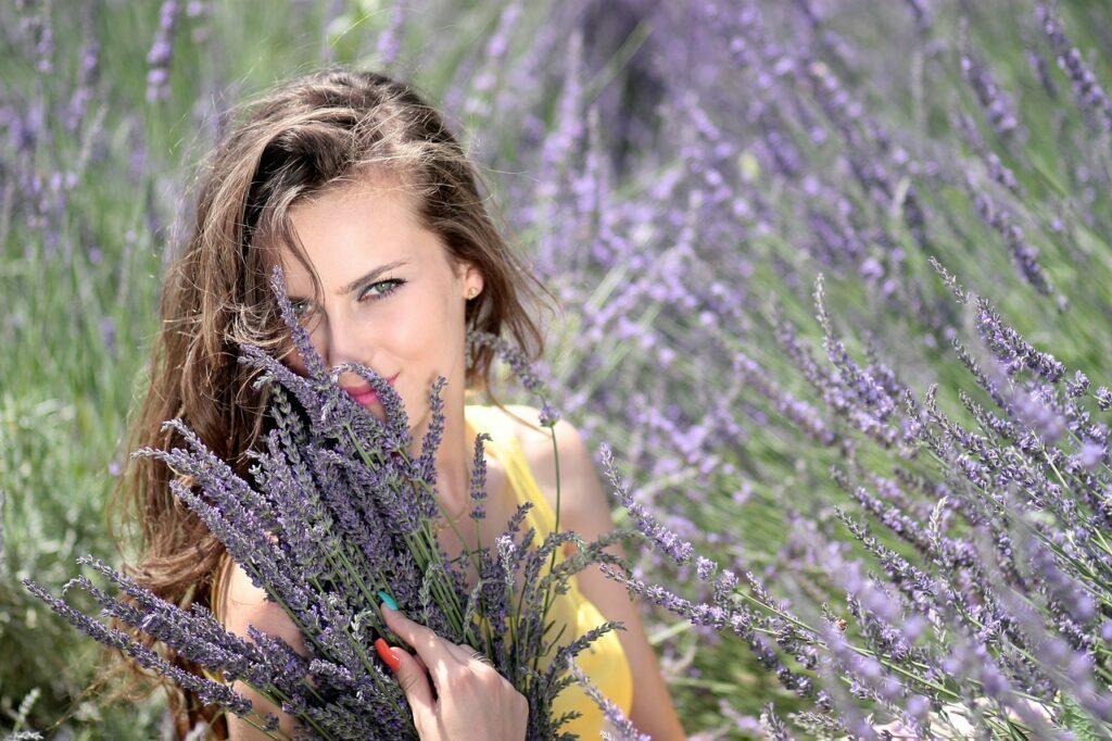 lavanda