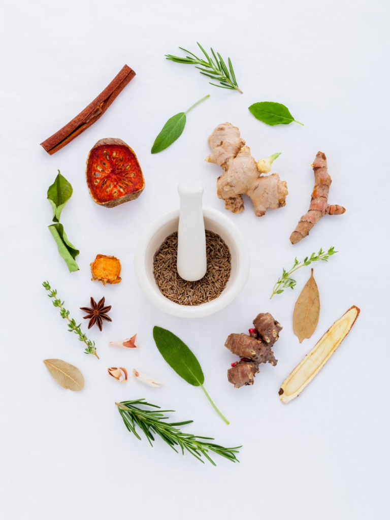 legume