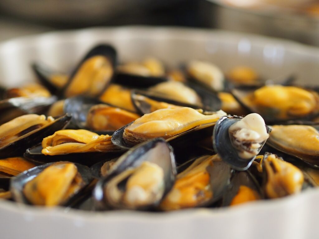 seafood-670948_1920