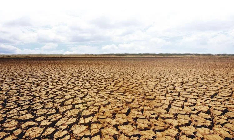 „Sahara României” se întinde deja pe cel puțin 100.000 de hectare.