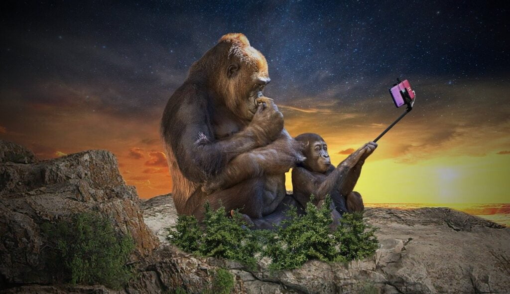 selfie