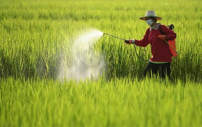 Autorizaţii de urgenţă nejustificate pentru pesticide