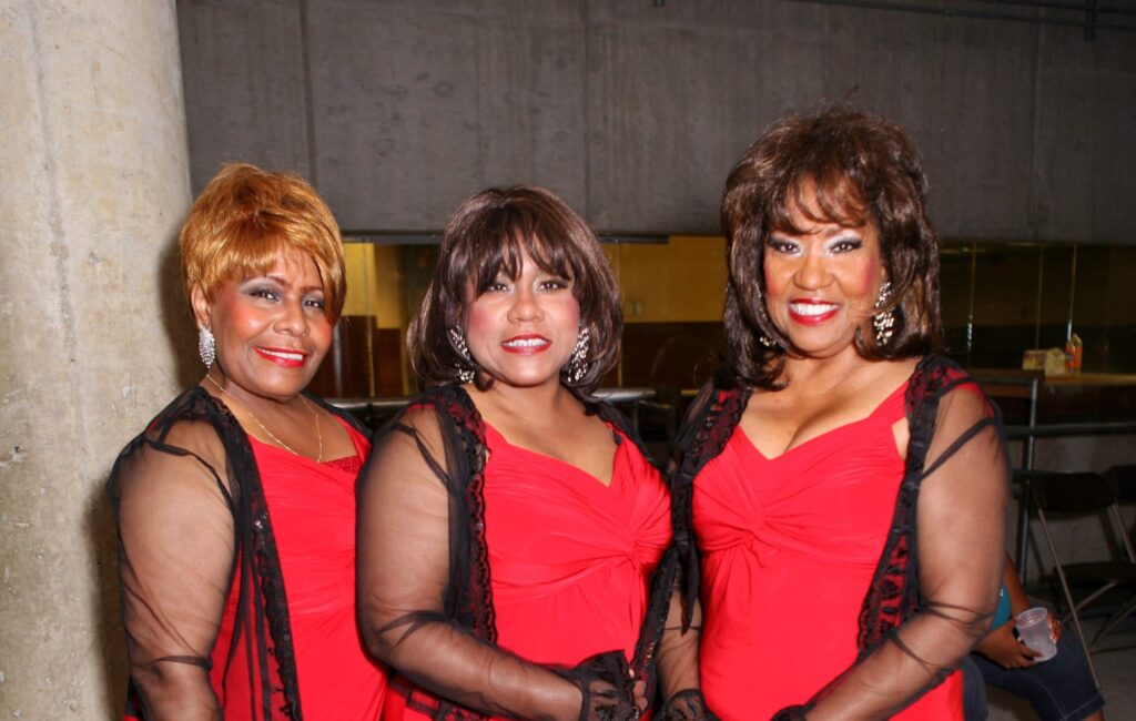 the-emotions-pamela-hutchinson-getty-images-monica-morgan-wireimage
