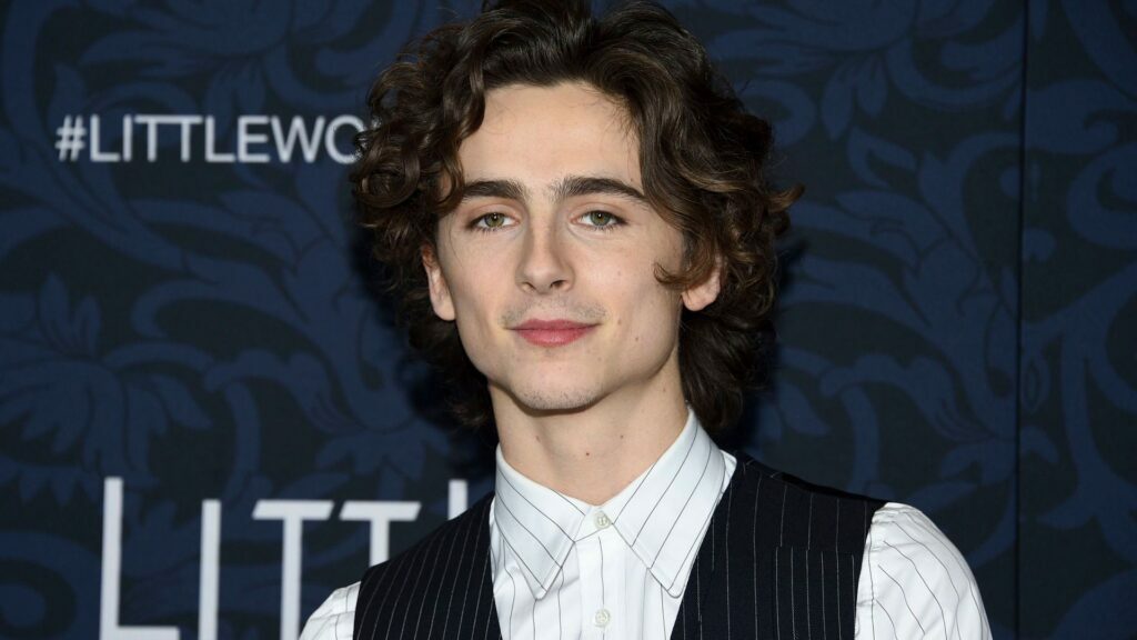 NY Premiere of "Little Women", New York, USA - 07 Dec 2019