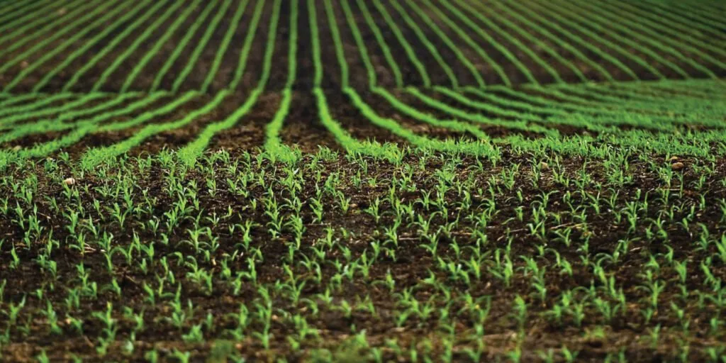 tipuri-de-agricultura