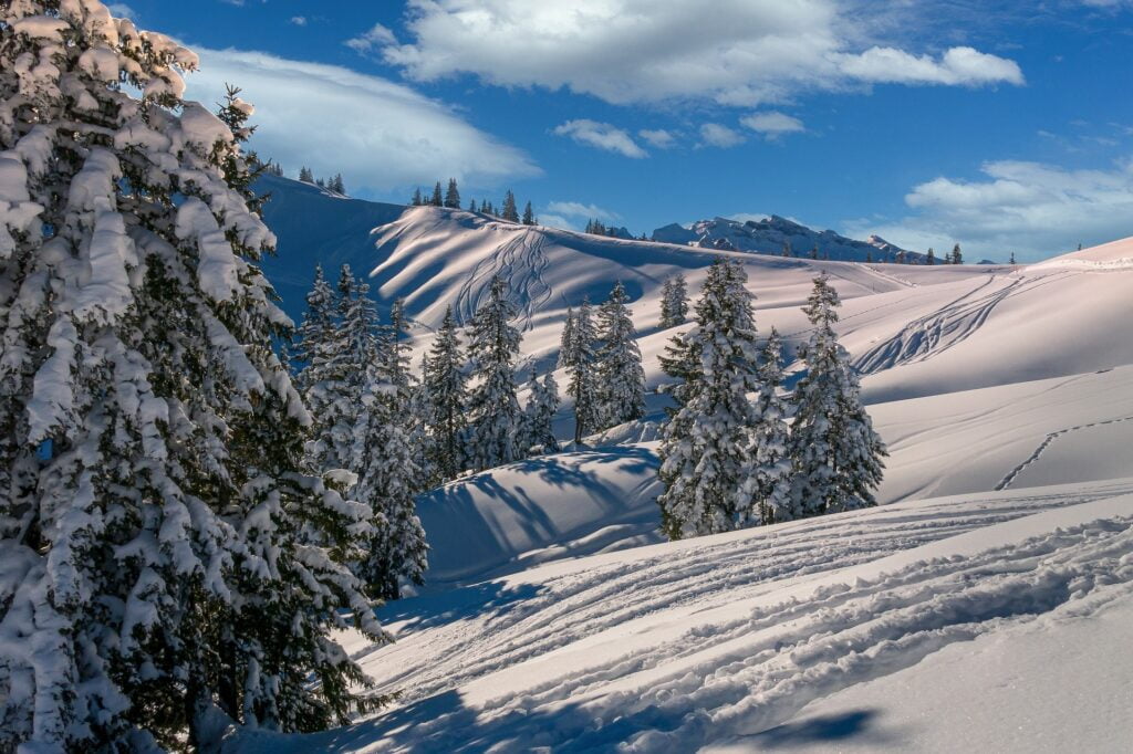 winter-4680713_1920