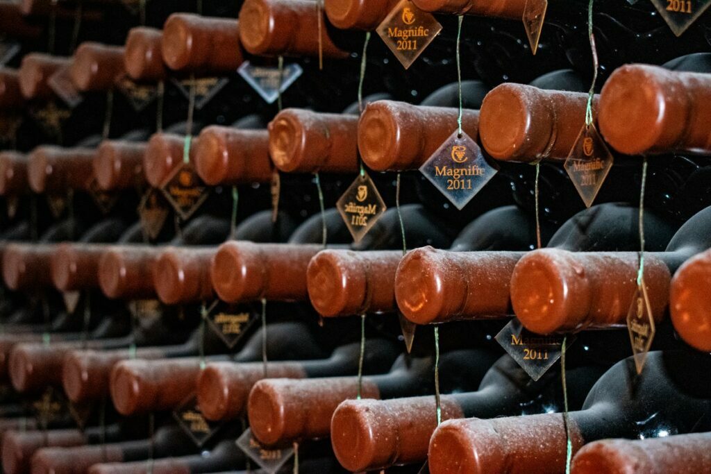 pexels-ion-ceban-ionelceban-2580989