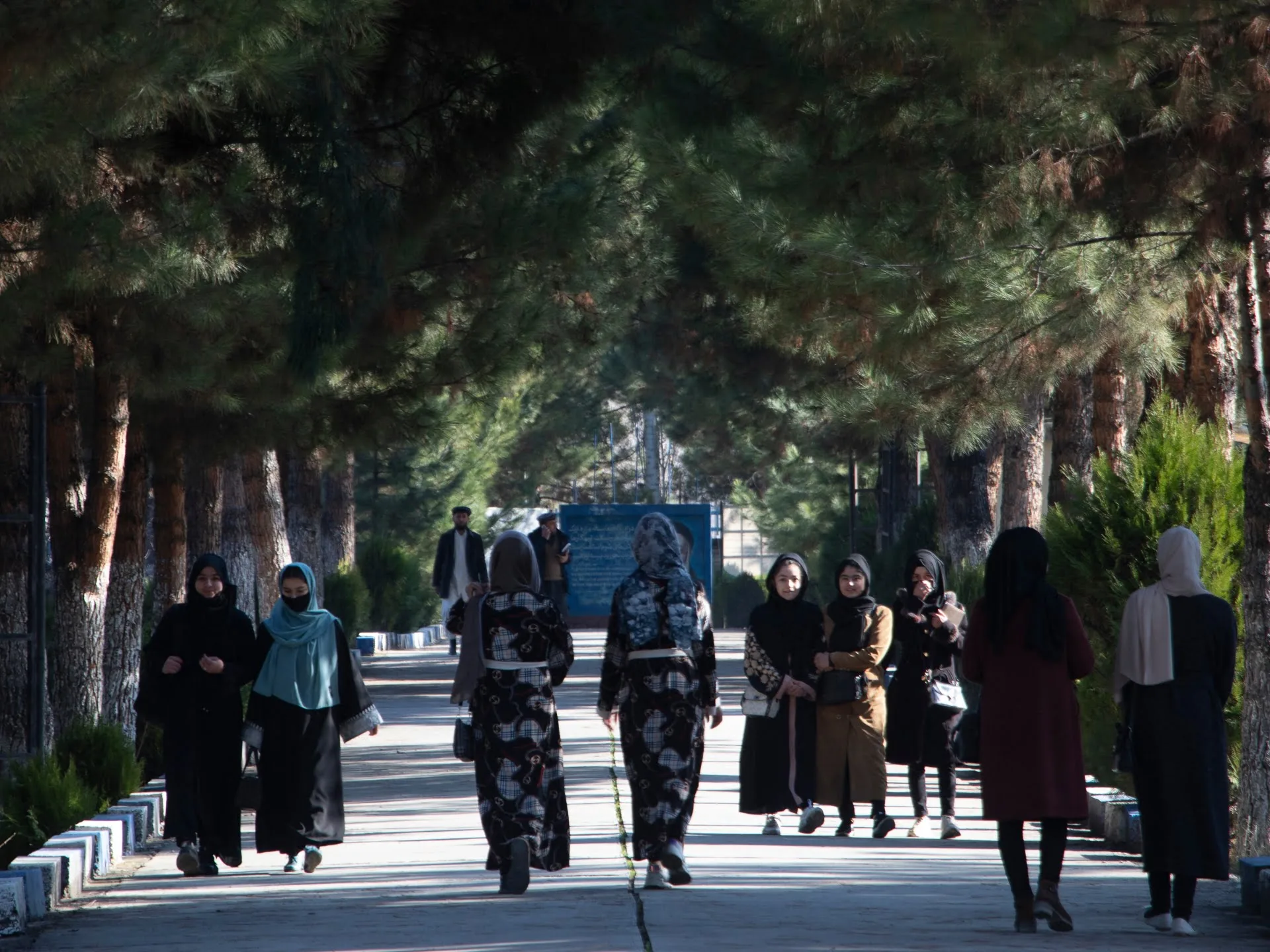 Talibanii spun că femeile au fost interzise de la universități în Afganistan |  știri talibane
