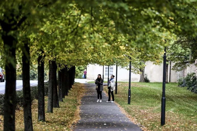Doi oameni stând pe o potecă într-un parc acoperit cu frunze portocalii și verzi ale copacilor din jurul locului.