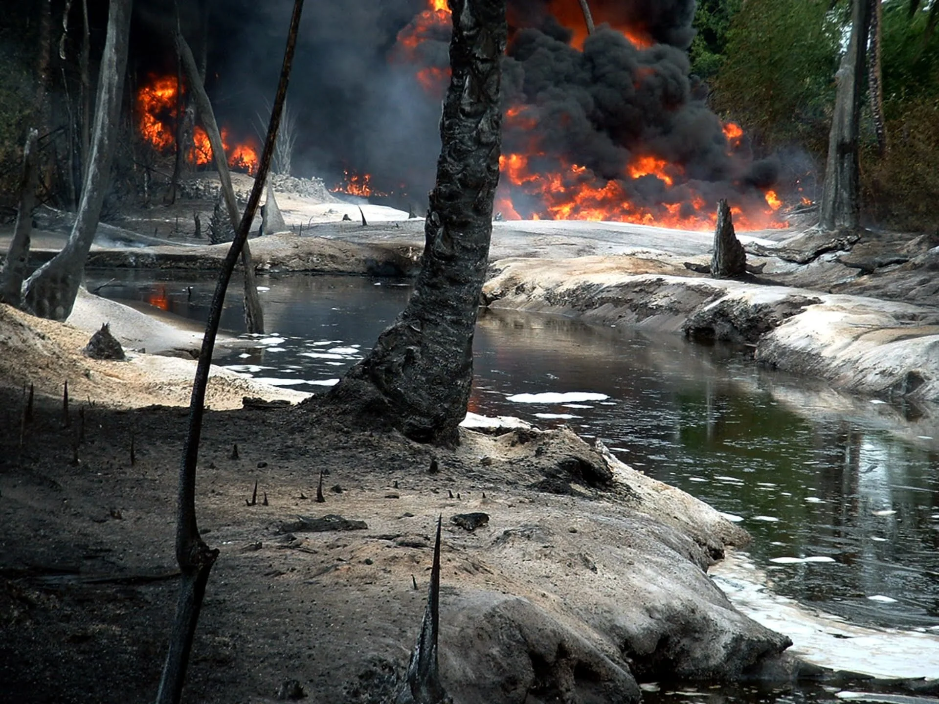 Cronologie: O jumătate de secol de scurgeri de petrol în Ogoniland din Nigeria |  Mediu inconjurator