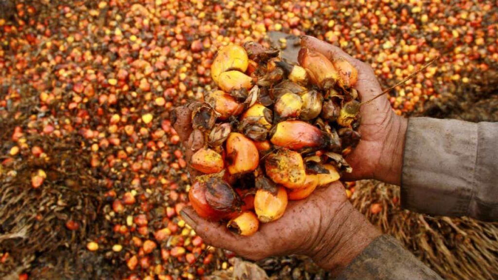 Indonezia va restricționa exporturile de ulei de palmier de la