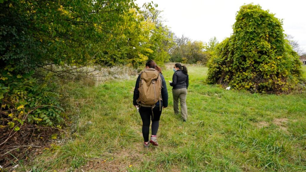 Scăderea habitatelor naturale împing viața sălbatică și orașele în contact