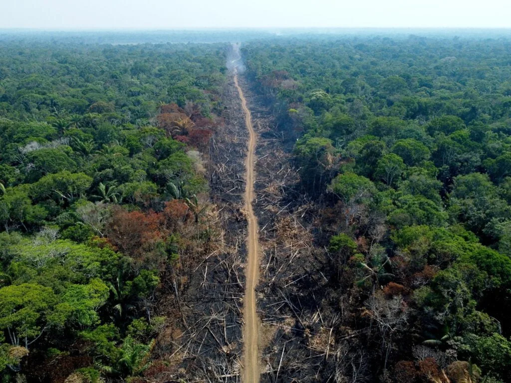 Defrișările din Amazonul brazilian a crescut cu 150% în ultima