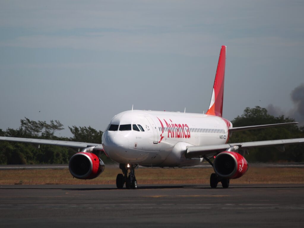 Două cadavre găsite în trenul de rulare al unui avion