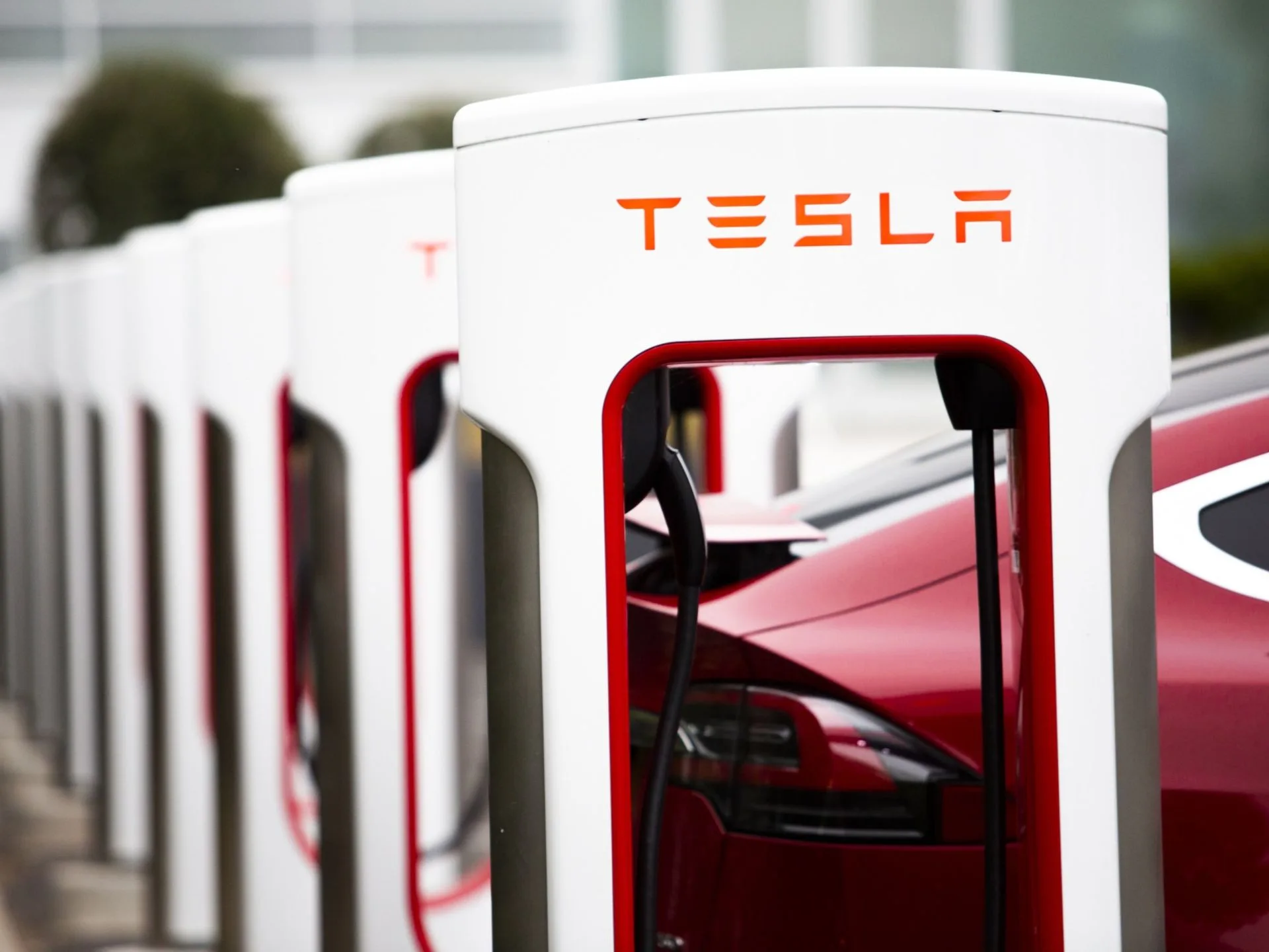 Acțiunile Tesla scad cu 13% din cauza temerilor de creștere |  Știri de afaceri și economie
