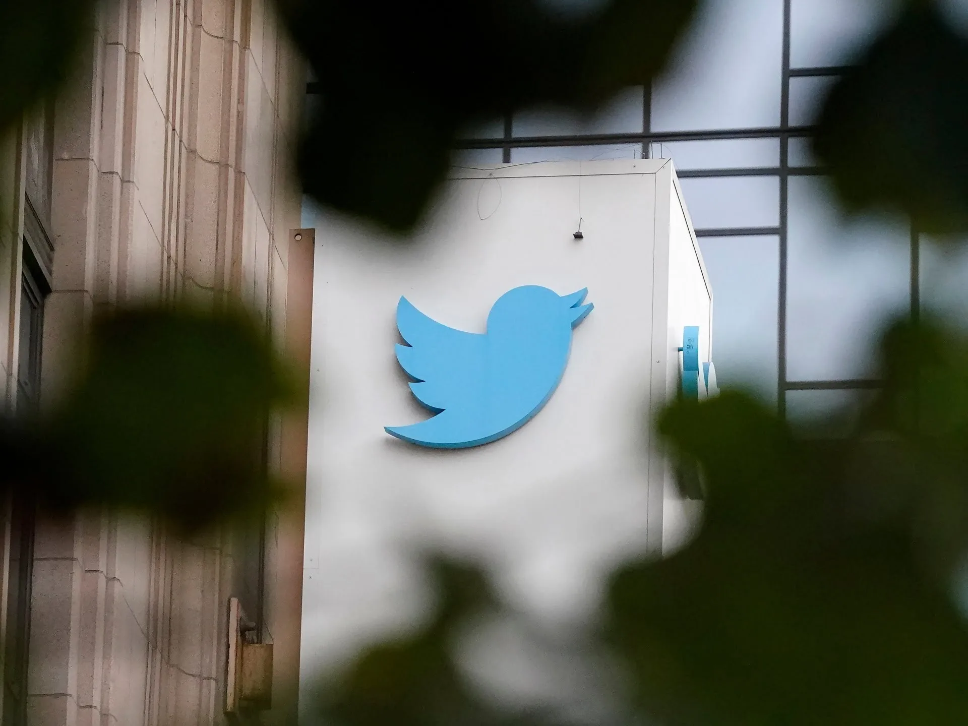 Twitter spart, 200 de milioane de adrese de e-mail scurse: cercetător |  Știri de securitate cibernetică