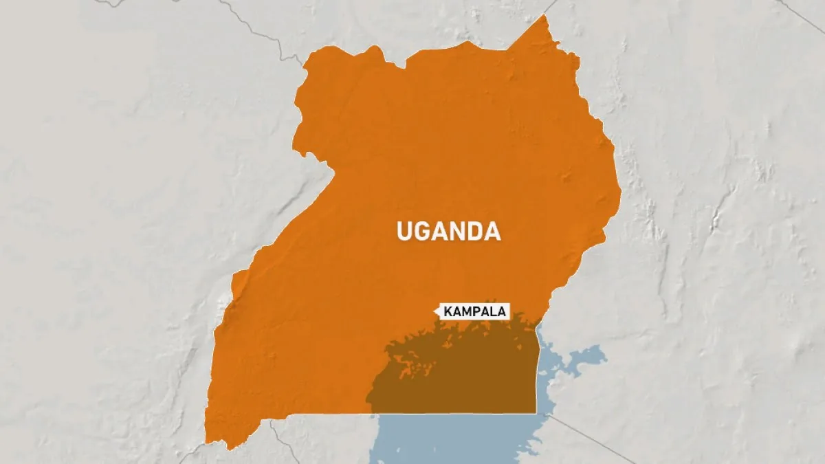 Ampiedă în timpul focurilor de artificii de Revelion a ucis cel puțin nouă persoane în Uganda |  Știri