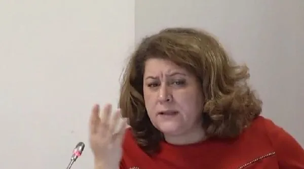 Cine este autoarea planului de naționalizare a Pilonului II?