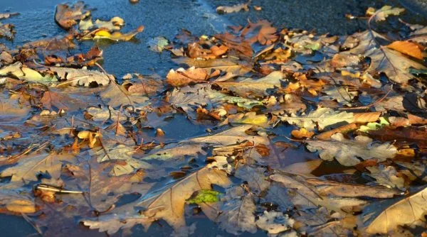 Care este prognoza meteo pentru următoarele două săptămâni, în România?