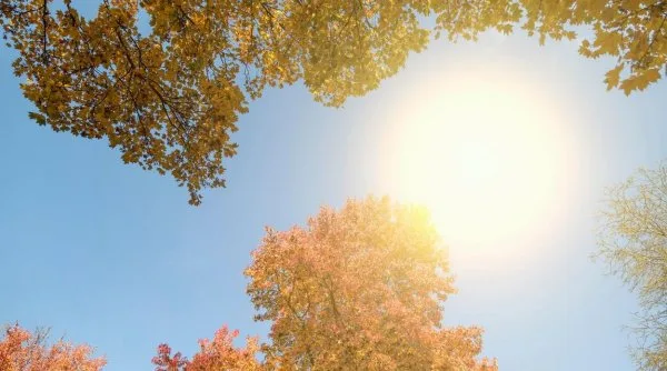 Meteo: ”Maxime de până la 37 de grade Celsius”