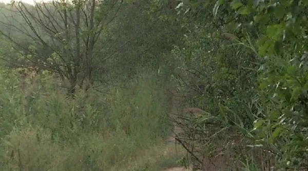 În localitatea Plauru, MApN a retras echipele de căutare și a ridicat bucățile de dronă