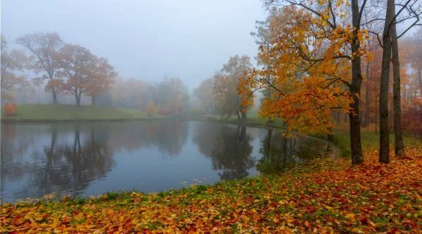 Cum arată prognoza meteo pentru următoarele două săptămâni?