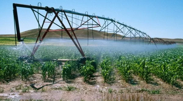În agricultură, Veolia România încheie un parteneriat cu Holde Agri Invest