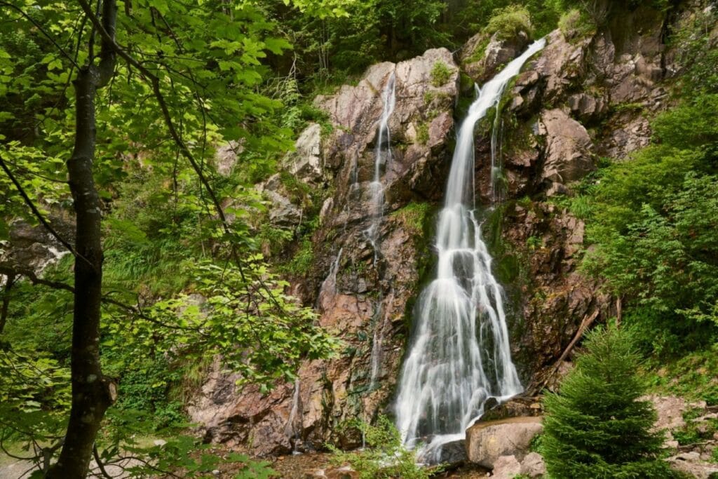 Trasee montane în Arieșeni: cele mai bune drumeții pentru iubitorii de ...