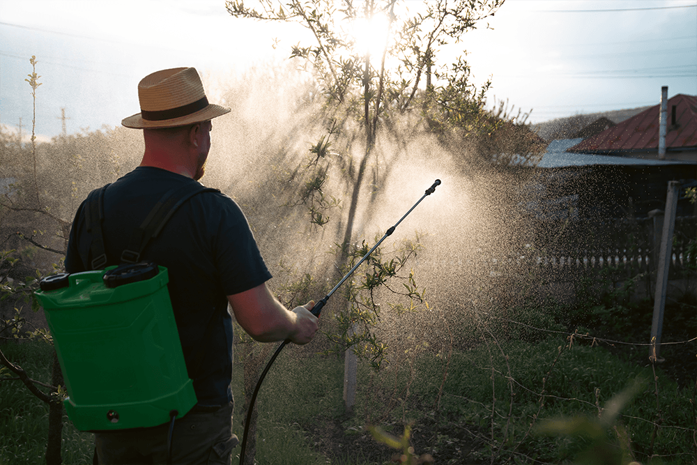 Alegerea acaricidului corect: soluții pentru protecția culturilor împotriva acarienilor