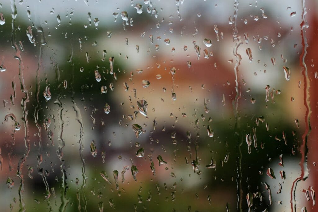 pexels-zahid-12888062
