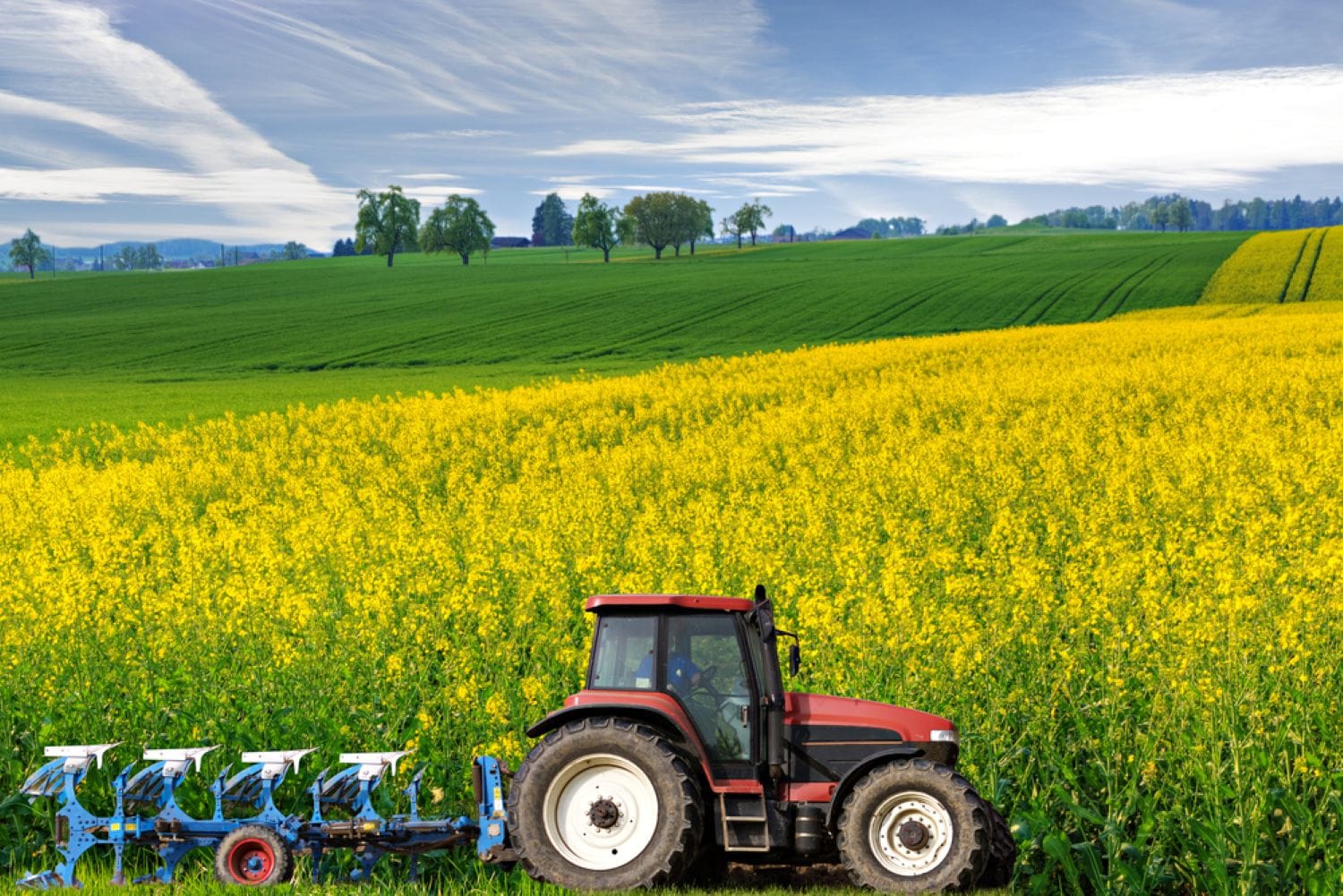 Rolul aminoacizilor în fertilizarea foliară: sursă naturală de azot și chelatanți esențiali pentru absorbția nutrienților