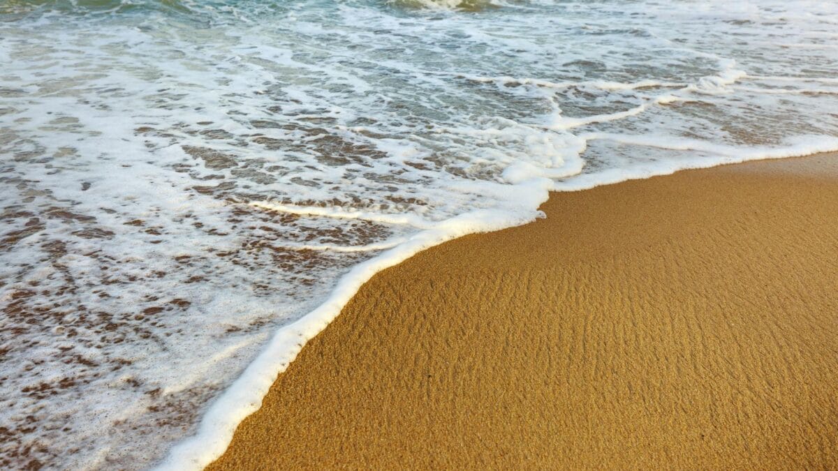 CCR dezbate transferul a 20% din plajele României către primării