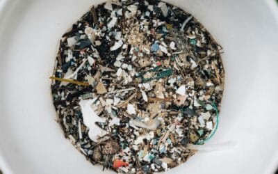 Microplastice în corp: Panică sau prudență? Studii noi schimbă perspectiva